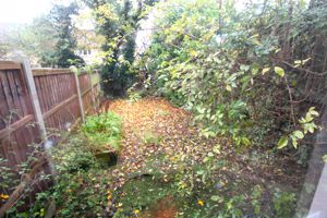 Garden- click for photo gallery